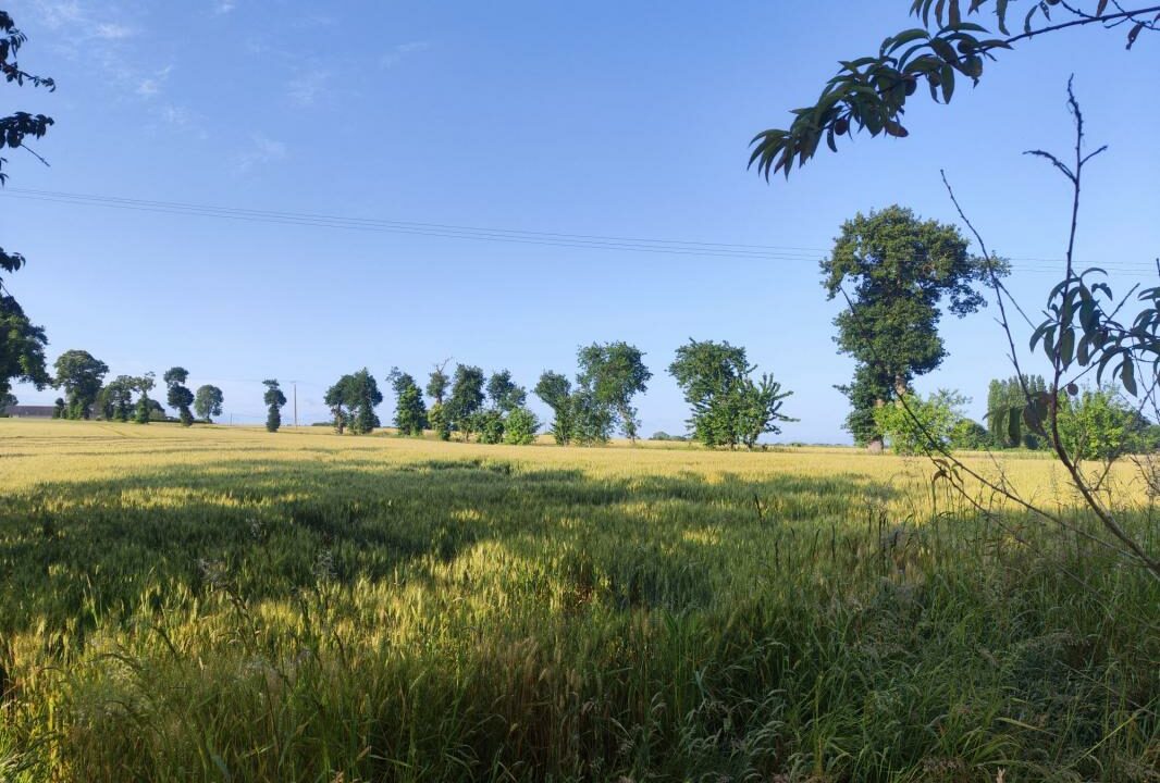 VM2379-ELYSEEGALLIC-VG-15112025-030437-10