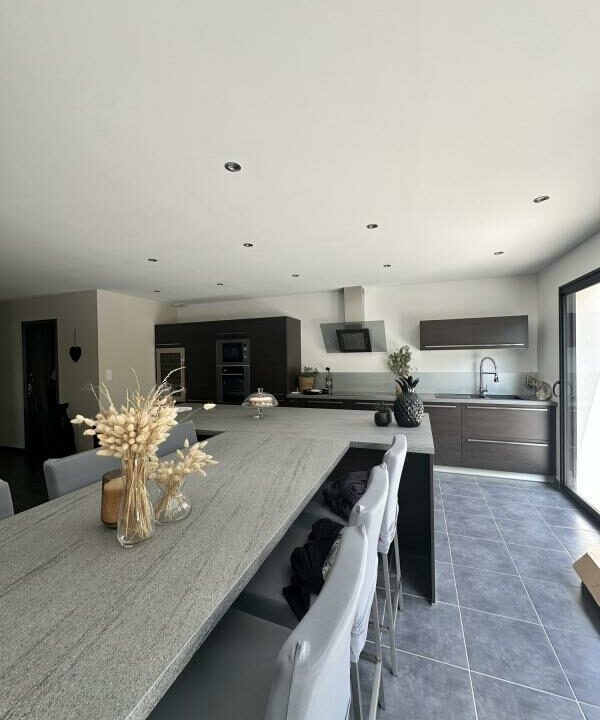 VM2381-ELYSEEGALLIC-VG-15112025-030437-1