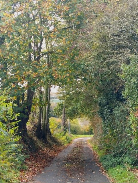 VA2851-ELYSEEGALLIC-VG-12122025-171945-8