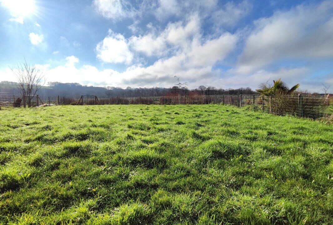 VM2309-ELYSEEGALLIC-VG-19122025-022801-3