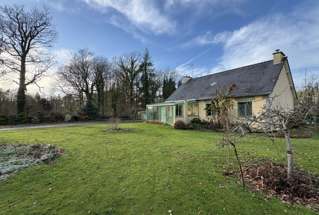 VM2461-ELYSEEGALLIC-VG-27122025-142005