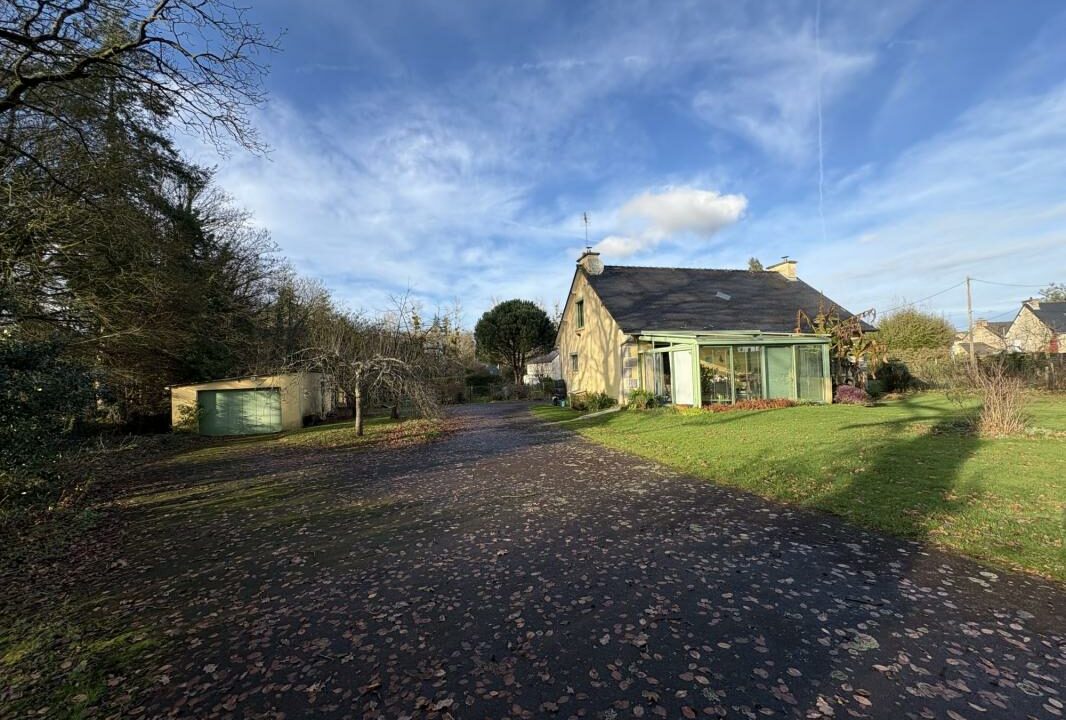 VM2461-ELYSEEGALLIC-VG-27122025-142005-8