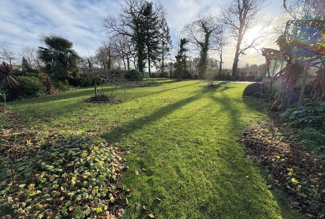 VM2461-ELYSEEGALLIC-VG-27122025-142005-9