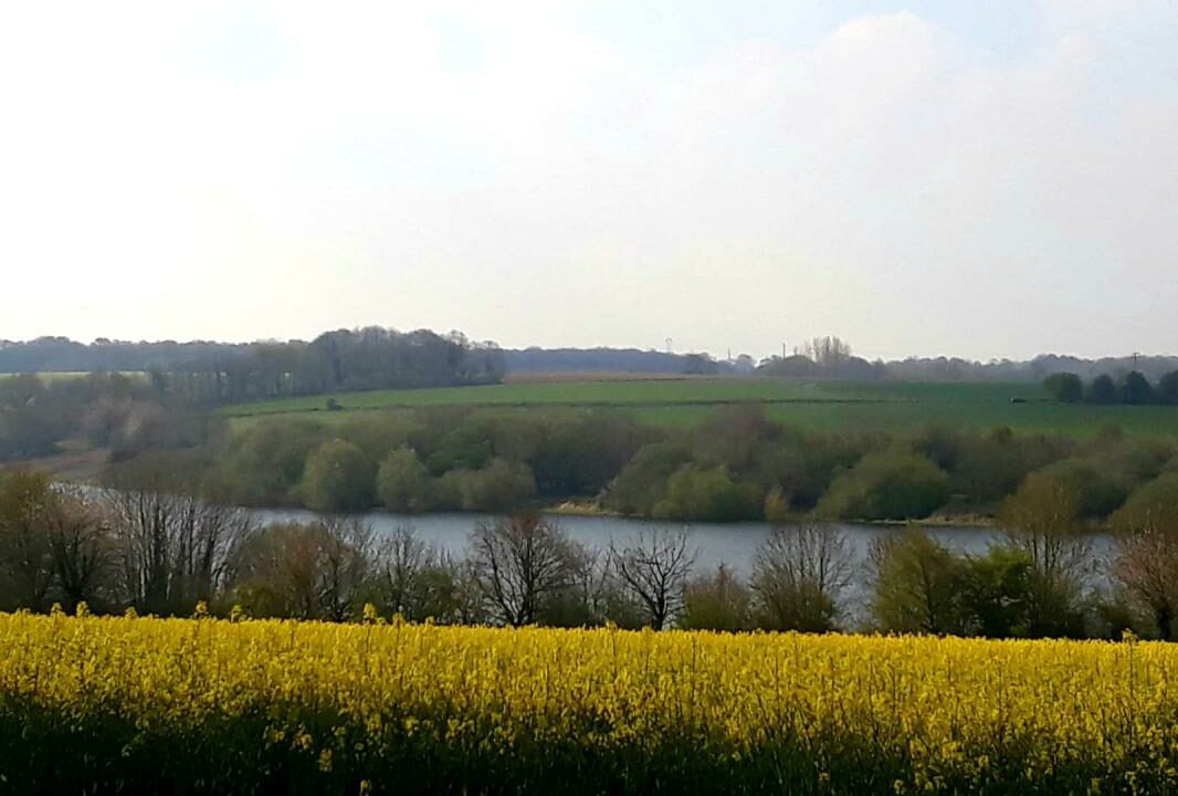 VA2851-ELYSEEGALLIC-VG-27012026-035258-2