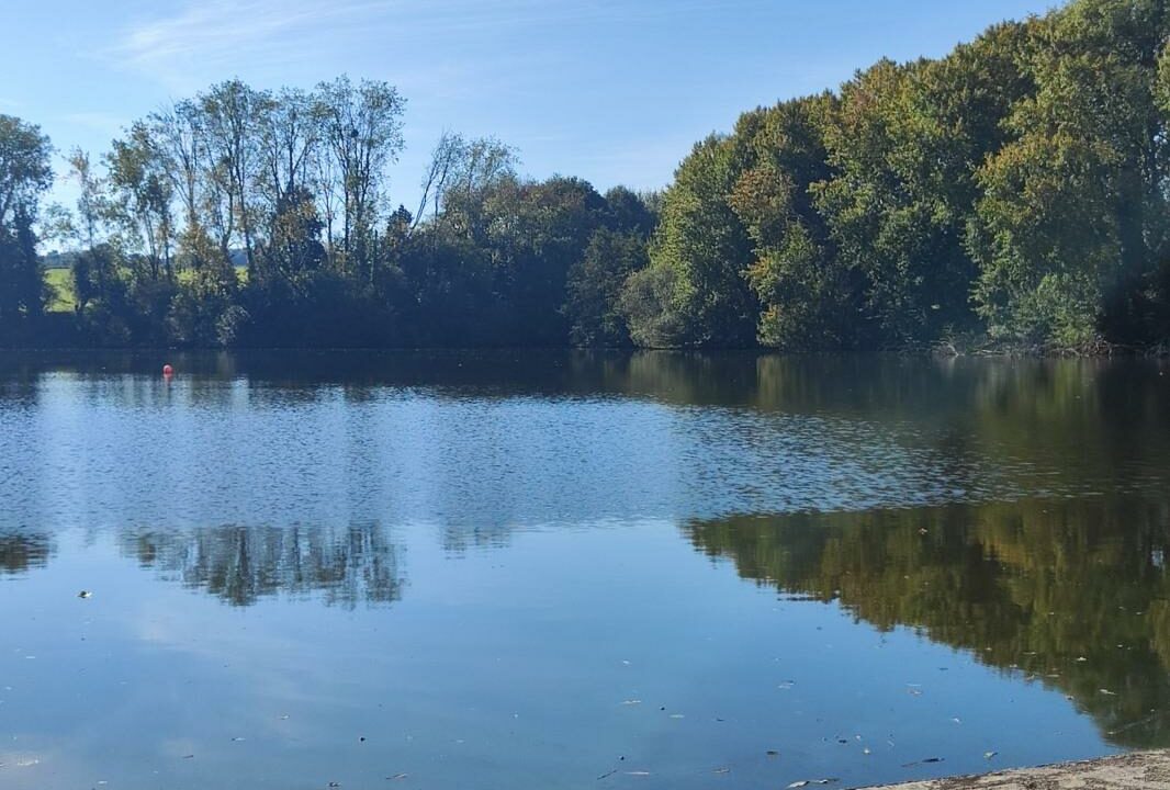 VM2269-ELYSEEGALLIC-VG-27012026-035322-5