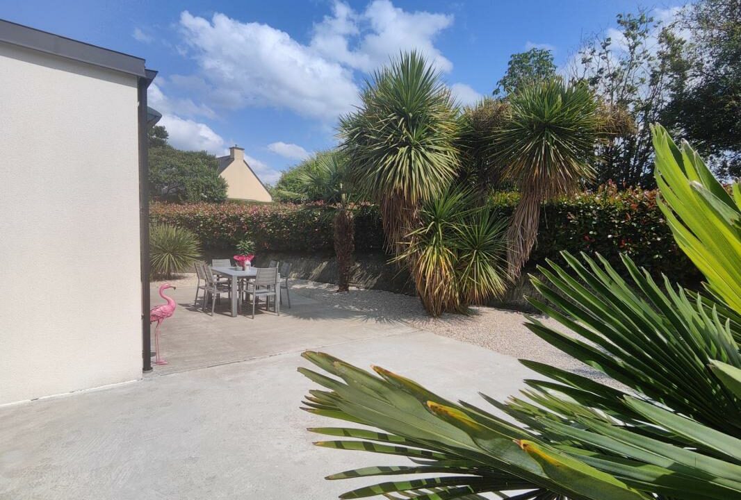 VM2381-ELYSEEGALLIC-VG-27012026-035349-7