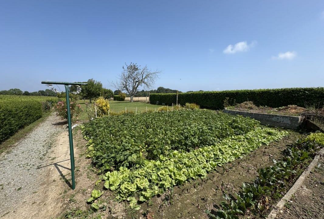 VM2399-ELYSEEGALLIC-VG-27012026-035358