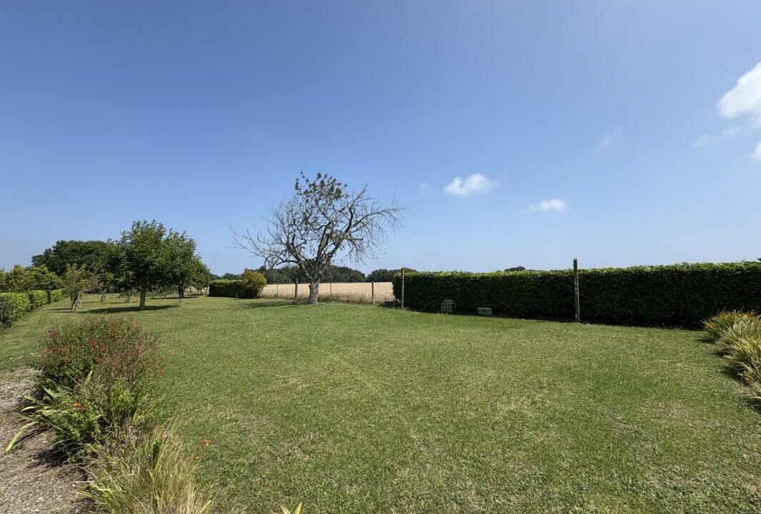 VM2399-ELYSEEGALLIC-VG-27012026-035358-8