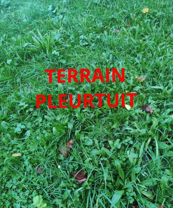 VT125-ELYSEEGALLIC-VG-27012026-035418