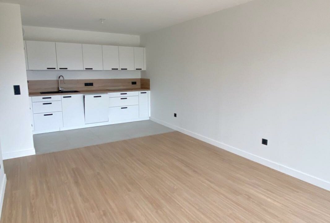 LA2891-ELYSEEGALLIC-VG-05032026-022436-1