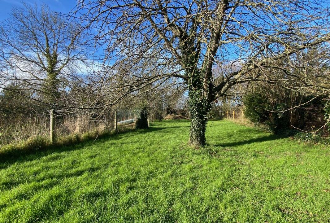 VM2246-ELYSEEGALLIC-VG-03092026-141022-2